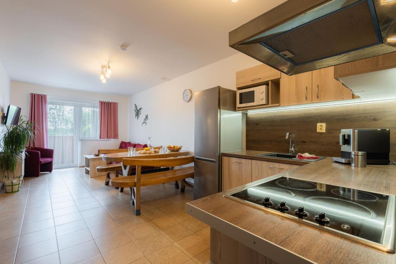 Apartments Nad Rybniky Horní Planá المظهر الخارجي الصورة