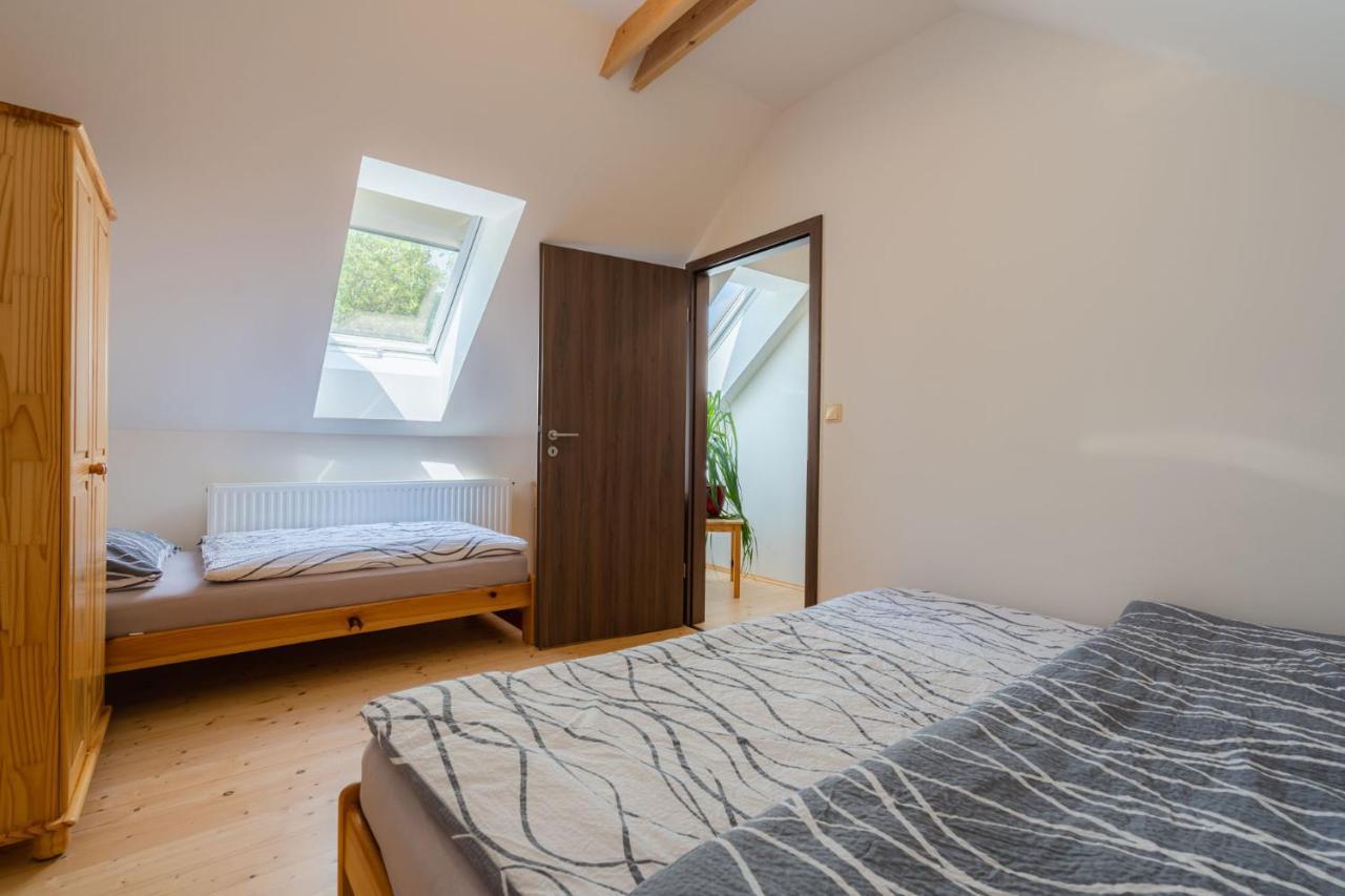 Apartments Nad Rybniky Horní Planá المظهر الخارجي الصورة