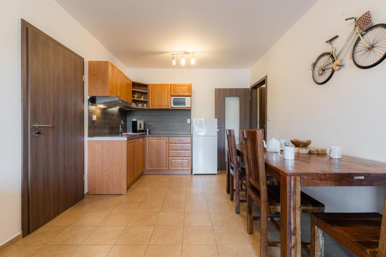 Apartments Nad Rybniky Horní Planá المظهر الخارجي الصورة